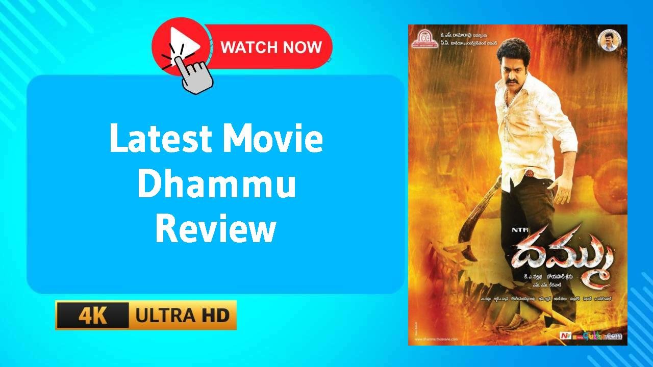 Dhammu